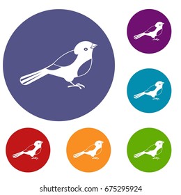 Bird icons set in flat circle reb, blue and green color for web