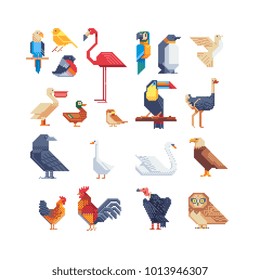 Bird icons set. Pixel art. Design template for pet shop, sticker, embroidery, logo, application, book illustration. Stickers design. 8-bit sprites. Cartoon characters. Isolated vector illustration. 