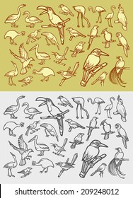 Bird icons sketch. Vintage and drawing, color, black and white hand drawn style vector. Good use for mascot, symbol, icon, or any design you want. Easy to use, edit, or change color.