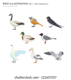 Bird Illustration 01 "Bird migration"