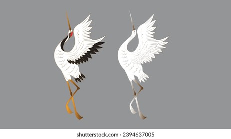 bird illustration for book drawing page