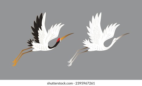 bird illustration for book drawing page