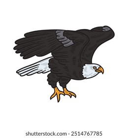 Bird Illustration Colored - Eagle