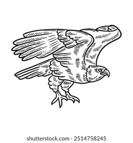 Ilustración de pájaro incoloro - águila