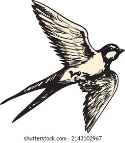 Bird Illustration. Flying Bird. Wildlife Illustration. Swallow Sketch