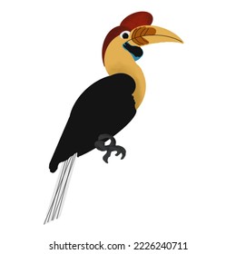 bird illustration with hand drawn
