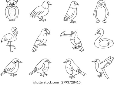 Bird illustration hand drawn line art collection featuring various species
