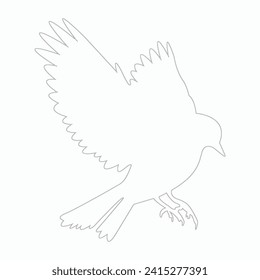 Bird illustration line art vector eps