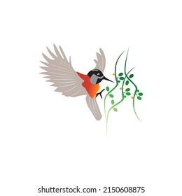 bird illustration logo design clipart vector color