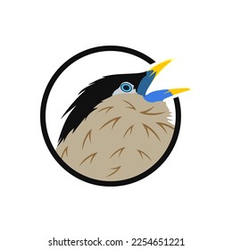 Bird illustration for logo and symbol company. bird head design isolated. Animal vector illustration