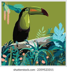Bird illustration for poster and book