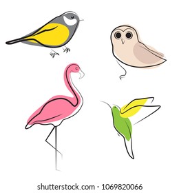 Bird illustration set. Flamingo, tit, owl, colibri
