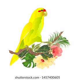 Bird Indian Ringneck Parrot in Yellow on branch with tropical flowers hibiscus, palm,philodendron watercolor on a white background vintage vector illustration editable Hand draw