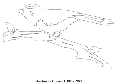 Bird of Indonesia coloring page. Typical bird of Aceh, Cempala Kuneng bird perching on a tree branch. Exotic Indonesian bird cartoon vector. Coloring page for kids template. 