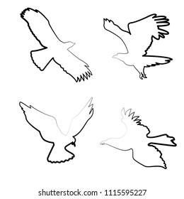 bird inflight icon vector template 