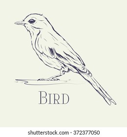 bird ink blue  red 