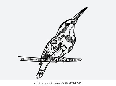 bird of ink sketch hand drawn for pattern, fabric, art print, poster. bird poster vintage of ink sketch