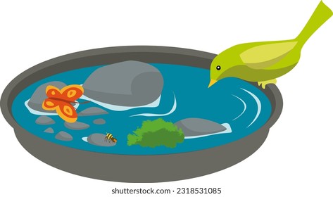 Bird and insect water drinker, waterhole with bee, bird and butterfly