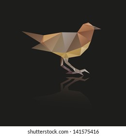 Bird isolated on a black backgrounds