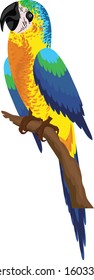 Bird isolated on white background. illustration vector