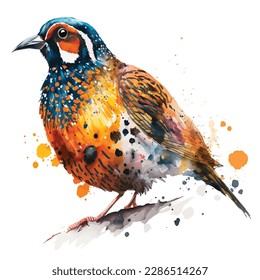Bird isolated on white background, vector illustration of mandarin drake, Watercolor paint bird. 