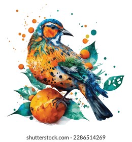 Bird isolated on white background, vector illustration of mandarin drake, Watercolor paint bird. 