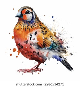 Bird isolated on white background, vector illustration of mandarin drake, Watercolor paint bird. 