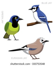 Bird Jay Set Cartoon Vector Illustration