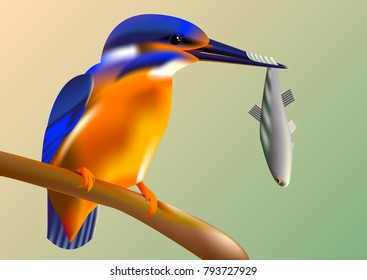bird kingfisher on a branch with fish in its beak, vector pattern with a mesh gradient