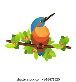 Bird kingfisher on a branch. Vector illustration.