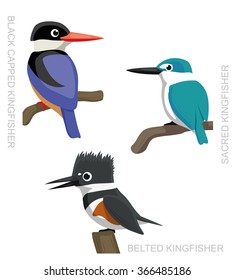 Bird Kingfisher Set Cartoon Vector Illustration 2