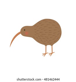 ilustración de ave kiwi para los niños