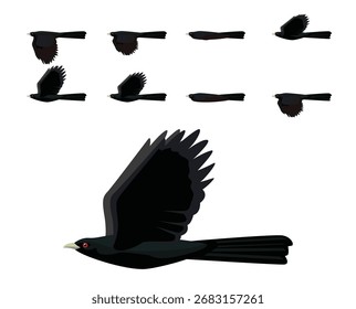 Pájaro Koel Vector de dibujos animados de vuelo Marco de animación