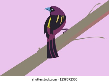 a bird laid on a tree branch,sweet bird