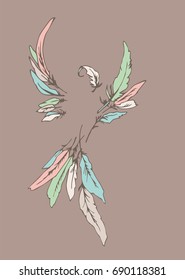 Bird laid out of feathers