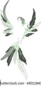 Bird laid out of feathers