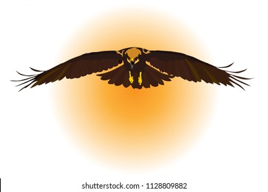 Bird landing. Flying wild bird. Vector image. White orange background.