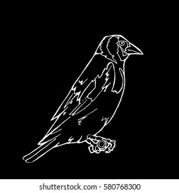 bird, lark, oriole, chickadee, sparrow, blackbird, nightingale, finch, bunting, hangbird, goldfinch, raven, canary, bullfinc. Engraving, stencil style. Logo, sign,symbol. Stamp, seal. Simple sketch.