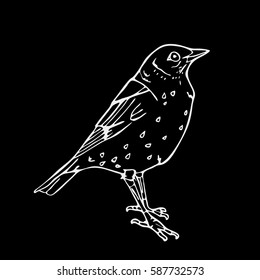 Bird, lark, oriole, chickadee, sparrow, blackbird, nightingale, finch, bunting, hangbird, goldfinch,  canary, bullfinch. Engraving, stencil style. Logo, sign, symbol. Stamp, seal. Simple sketch.