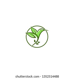 Bird leaf logo concepts