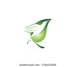 Bird and leaf logo design template