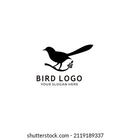 Bird leaf logo template design vector