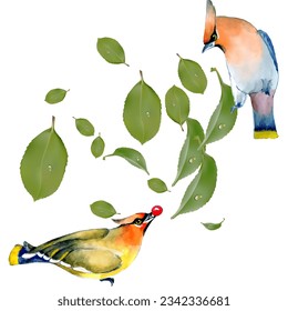 Bird and leaves. Can be used as a postcard, cover background or for a web message. Vector illustration in a watercolor style.