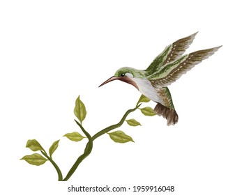 Bird and leaves handwritten, isolated on white background. Vector illustration