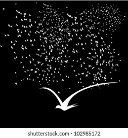 bird life