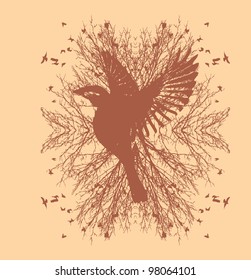 bird life