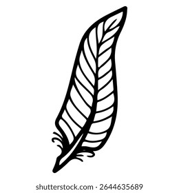 Bird light feather. Hand drawn doodle vector. Plumage. Animal fluff. Goose, ostrich, chicken, raven wing. Natural filling of pillows and down jackets. Decoration. Illustration line art element.