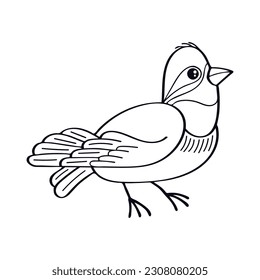 Bird line art. Cute little forest bird. Exotic feathered. Hand drawn vector sketch illustration.
