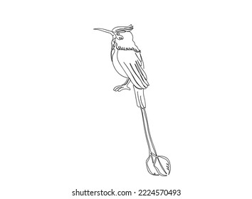 Bird line art drawing continues line vector illustration