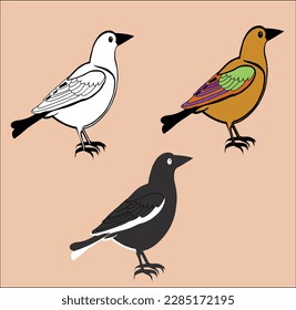 Colecciones de conjuntos vectoriales de dibujo de líneas de aves. Se trata de un archivo de pasos vectoriales modificable.